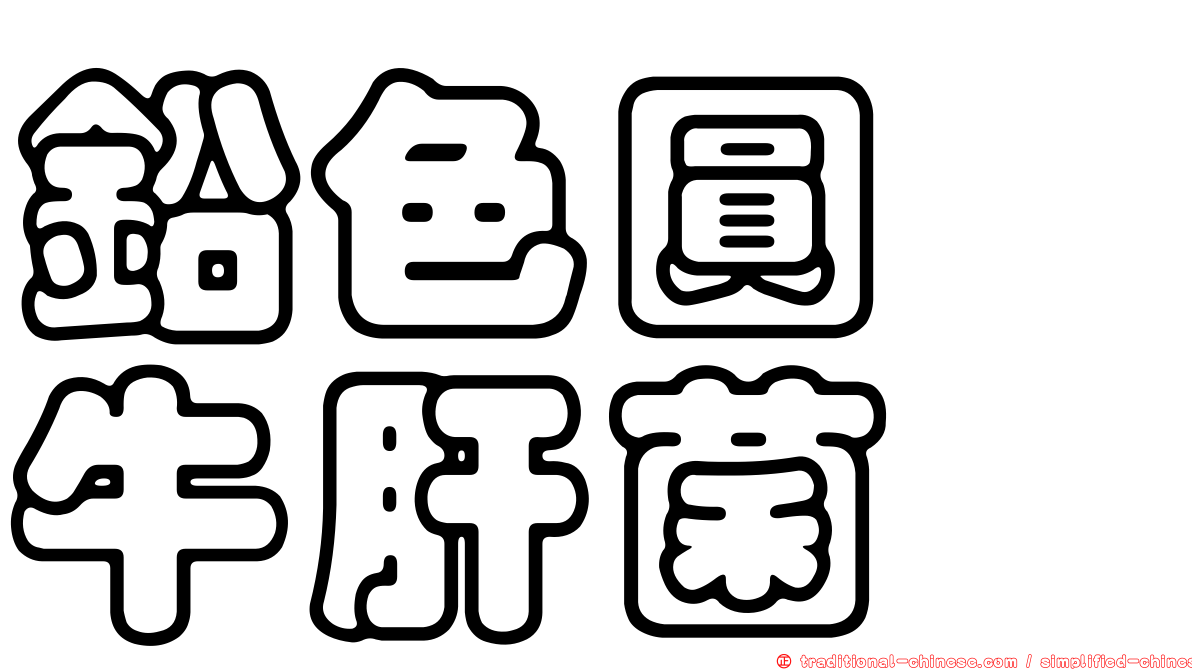 鉛色圓孢牛肝菌