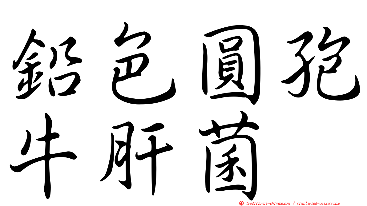 鉛色圓孢牛肝菌