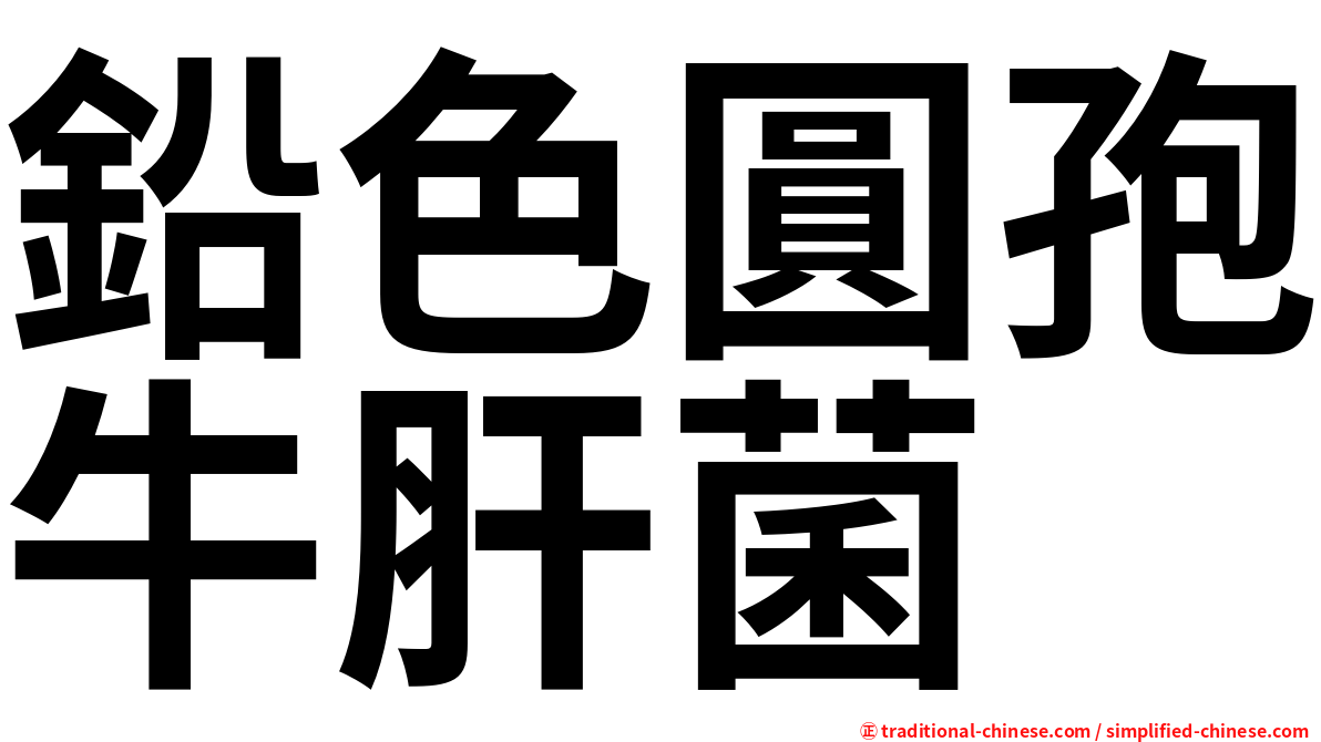 鉛色圓孢牛肝菌