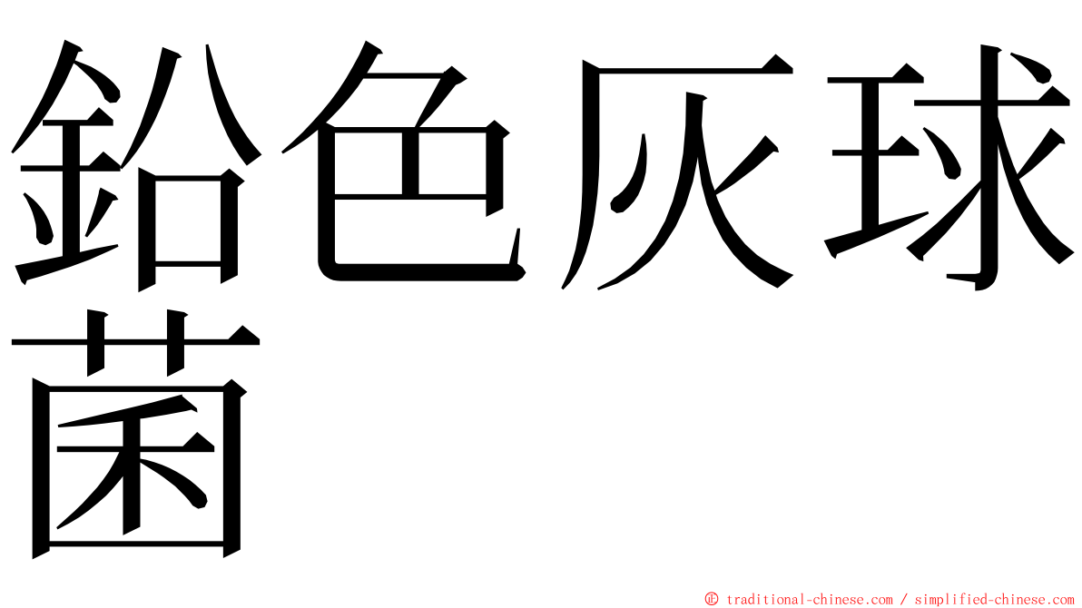 鉛色灰球菌 ming font