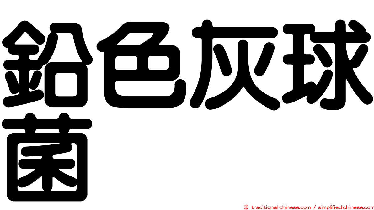 鉛色灰球菌
