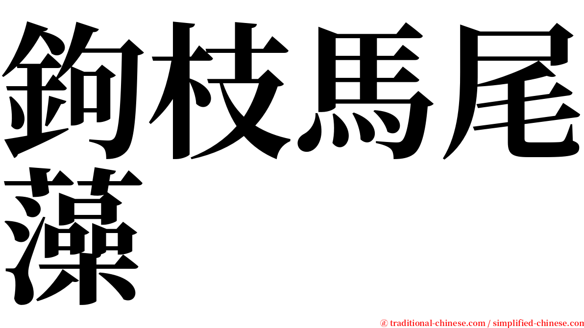 鉤枝馬尾藻 serif font