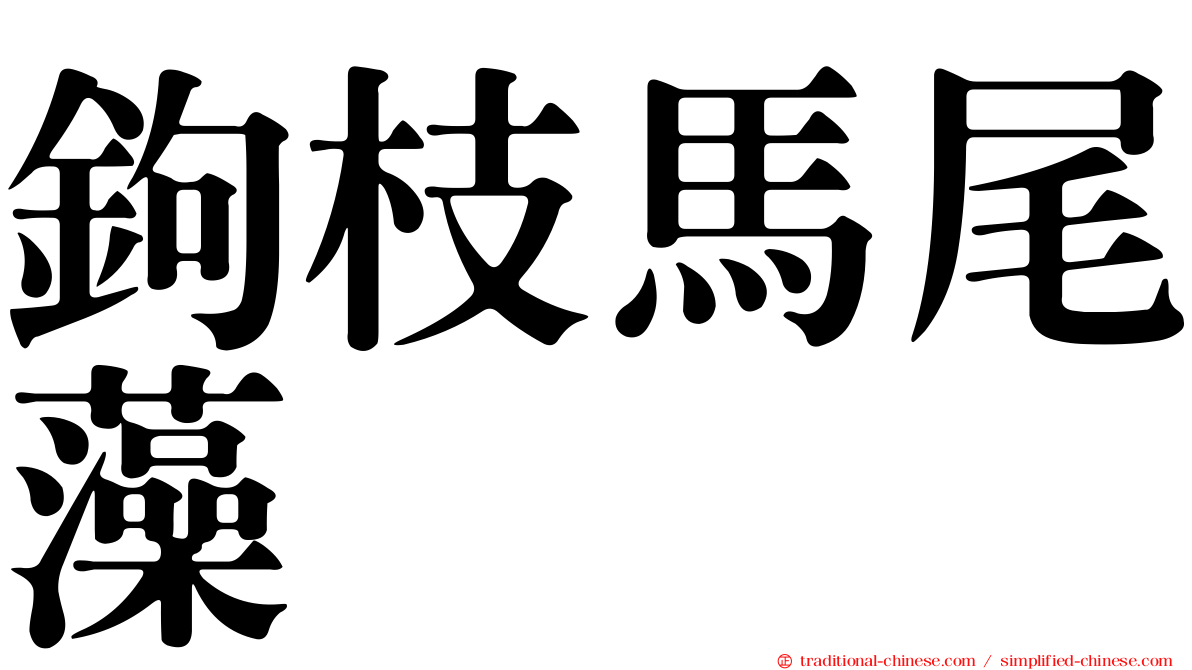 鉤枝馬尾藻