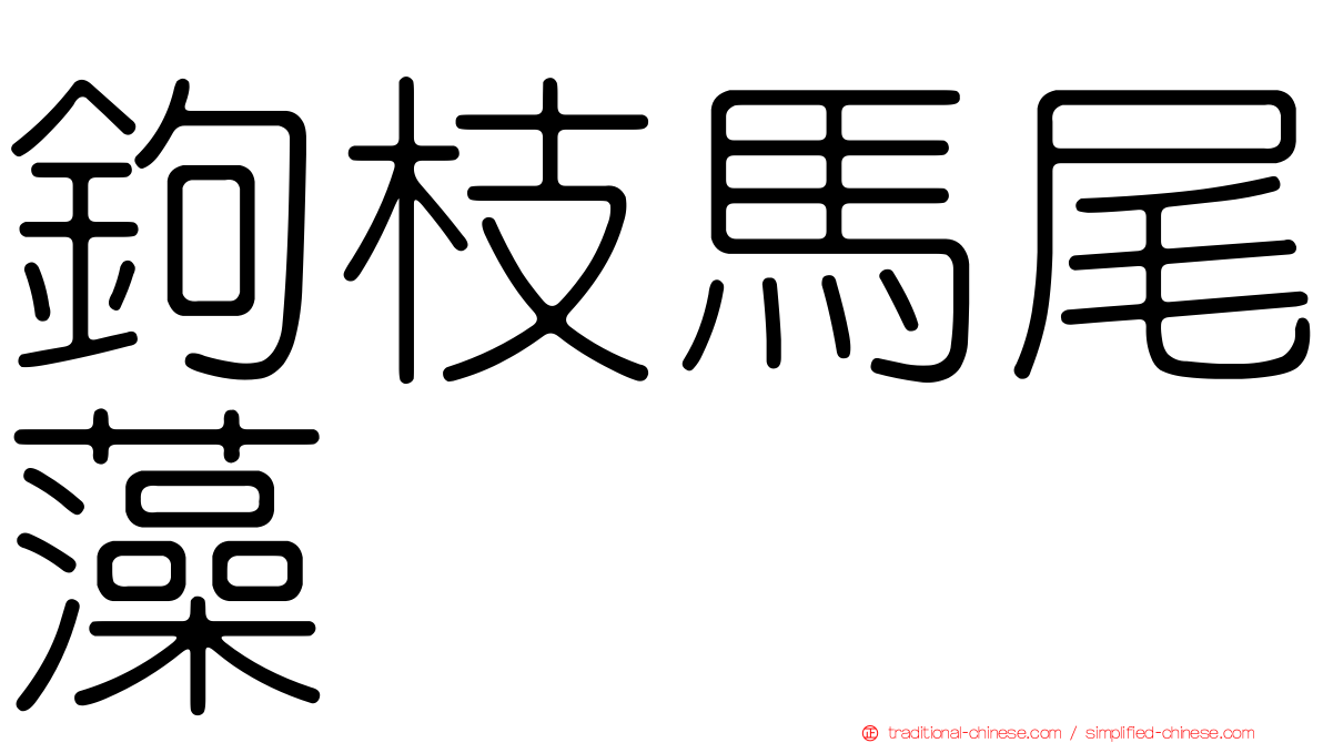鉤枝馬尾藻