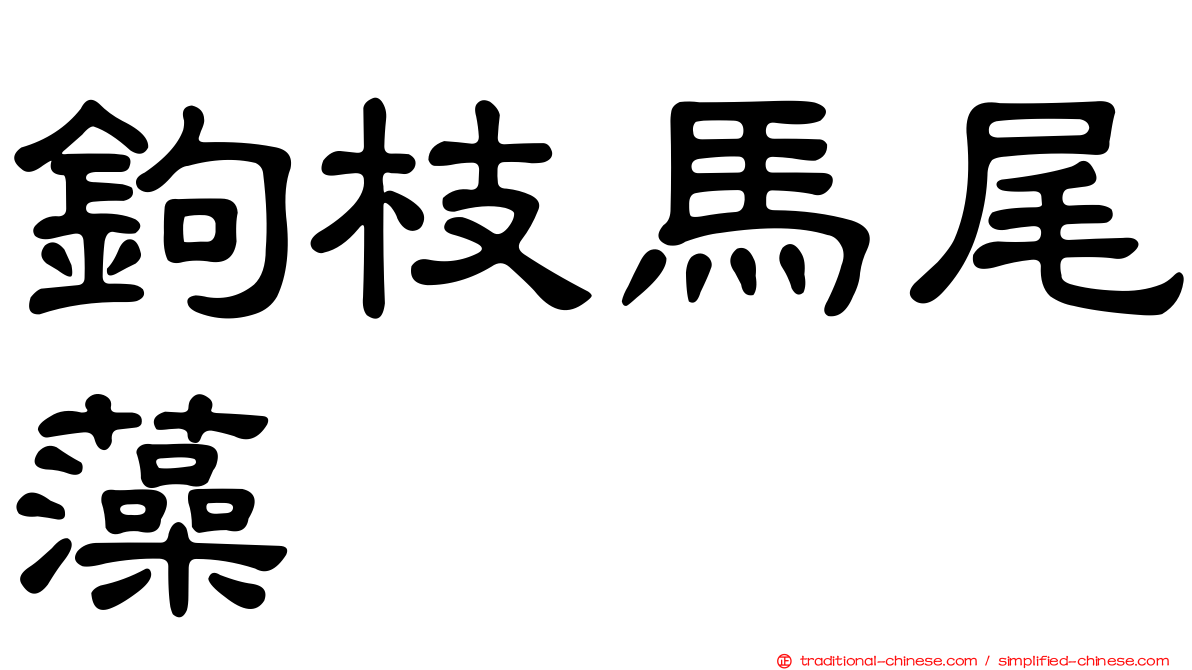 鉤枝馬尾藻