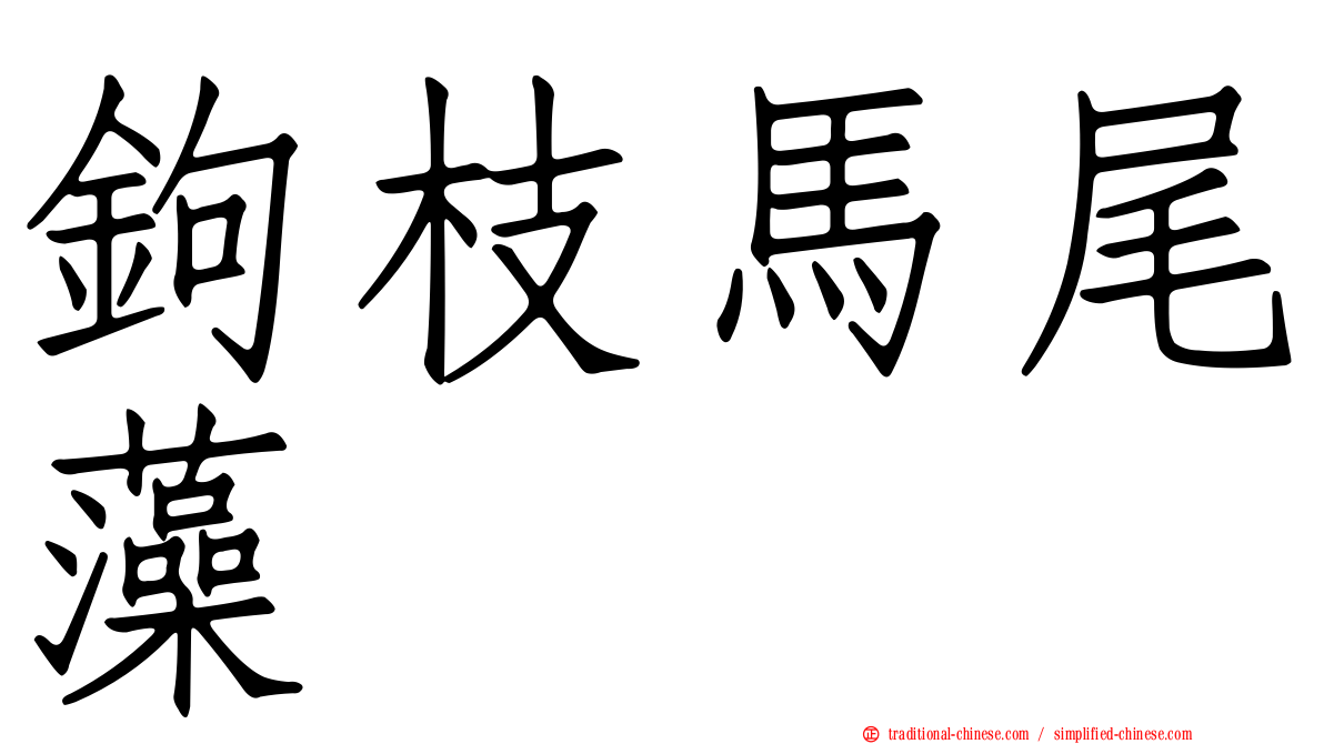 鉤枝馬尾藻