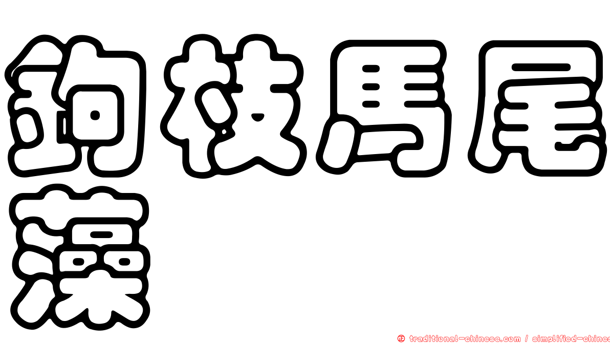 鉤枝馬尾藻