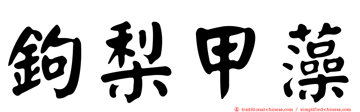 鉤梨甲藻