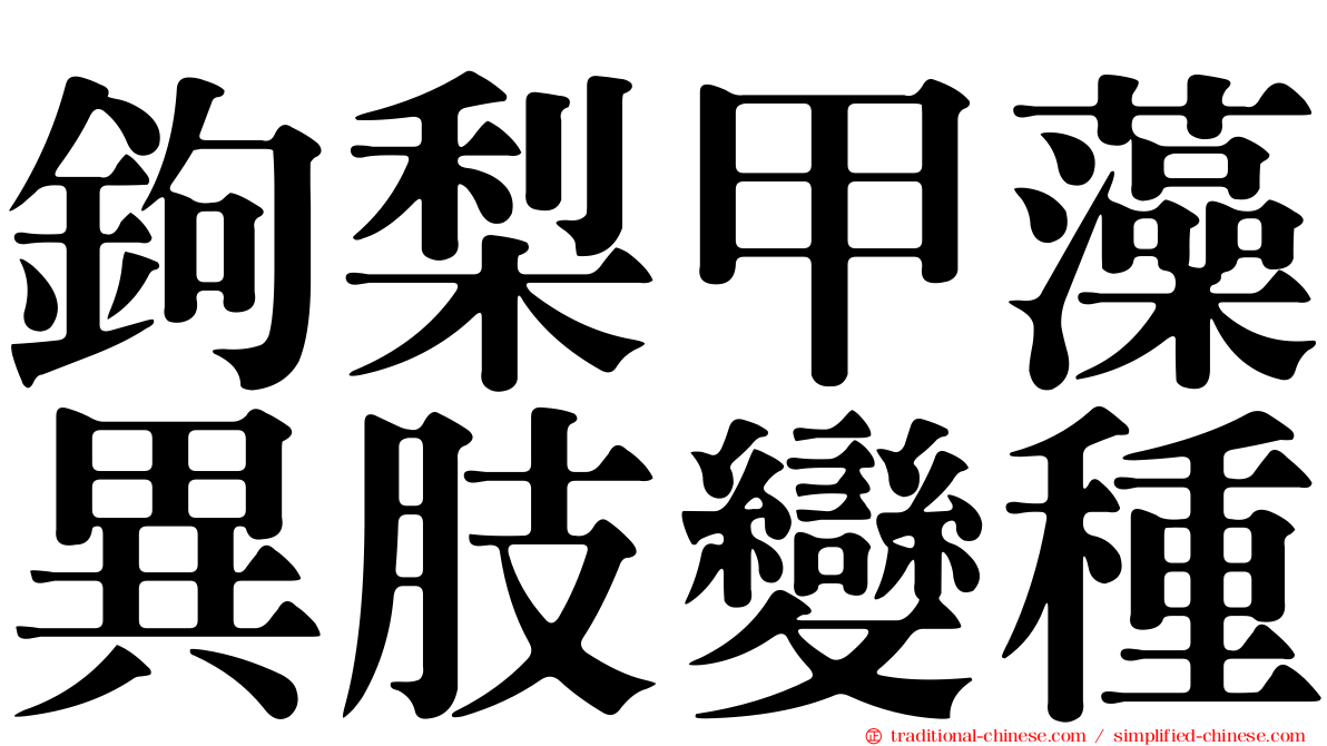 鉤梨甲藻異肢變種
