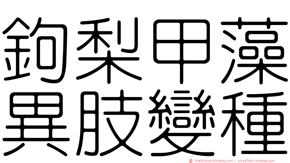 鉤梨甲藻異肢變種