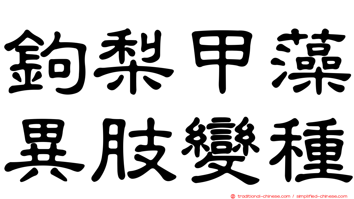 鉤梨甲藻異肢變種