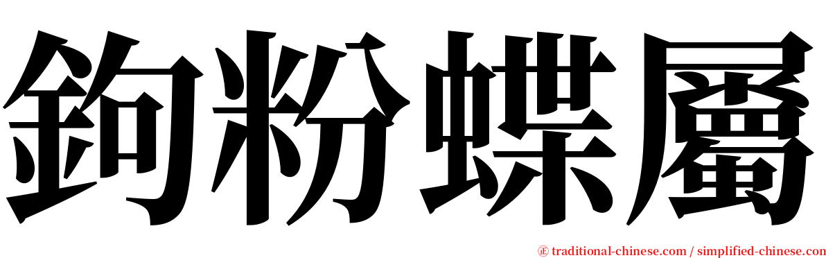 鉤粉蝶屬 serif font
