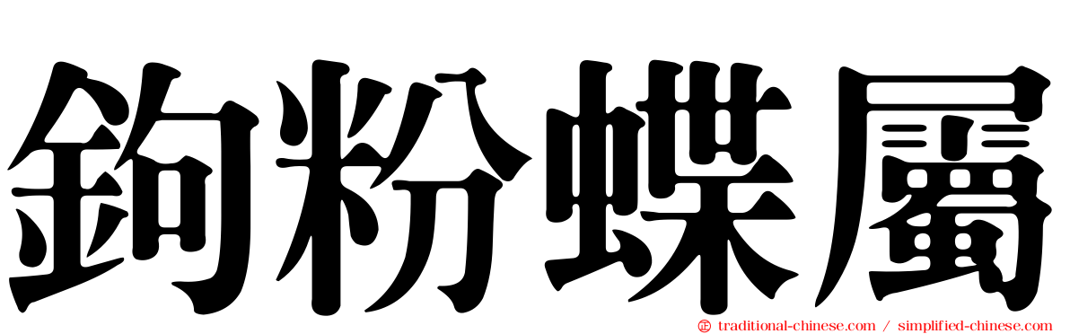 鉤粉蝶屬