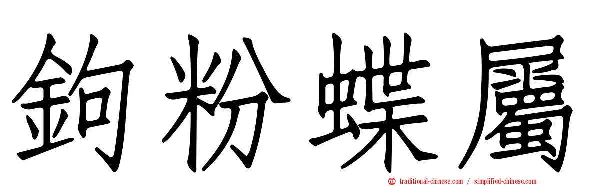 鉤粉蝶屬