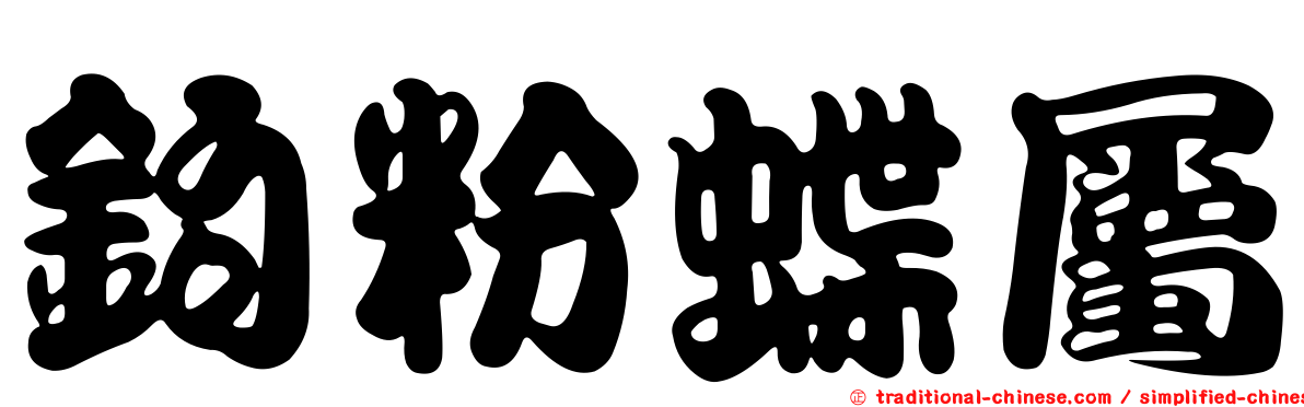 鉤粉蝶屬