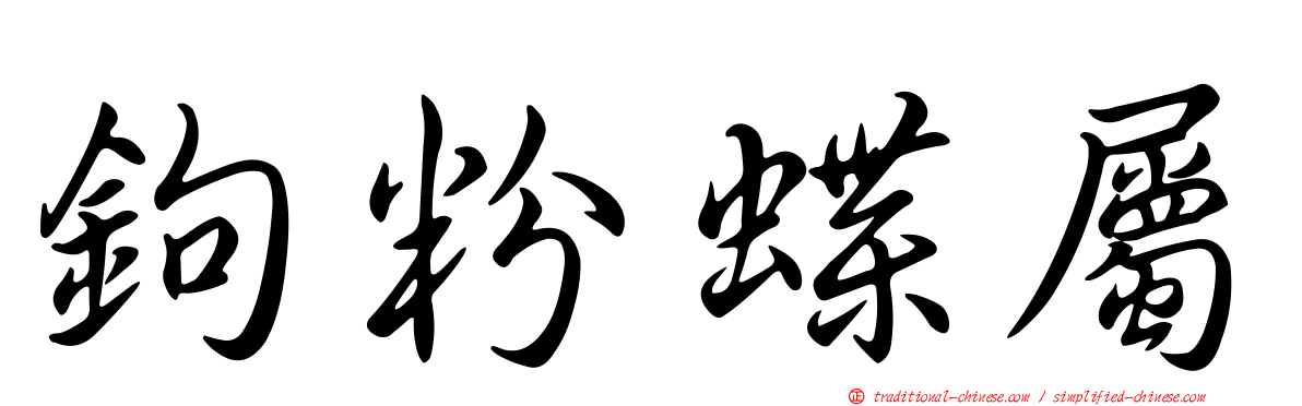 鉤粉蝶屬