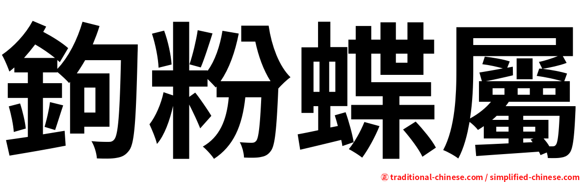 鉤粉蝶屬