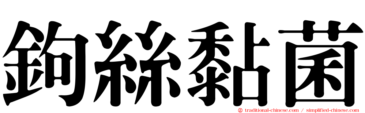 鉤絲黏菌