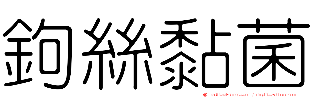 鉤絲黏菌