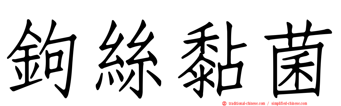 鉤絲黏菌
