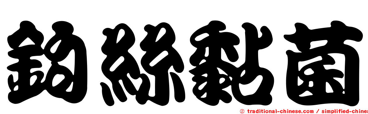 鉤絲黏菌