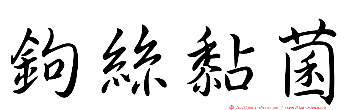 鉤絲黏菌