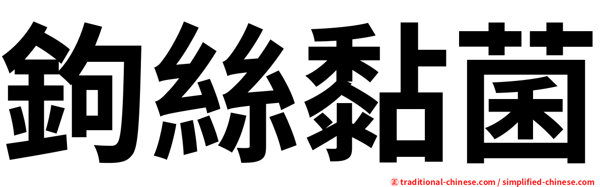 鉤絲黏菌