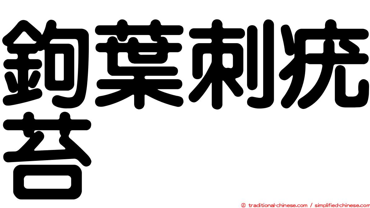 鉤葉刺疣苔