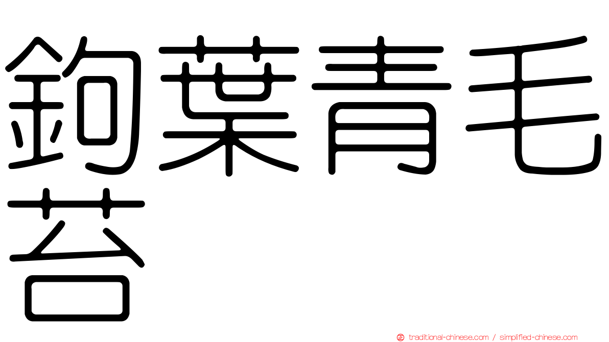 鉤葉青毛苔