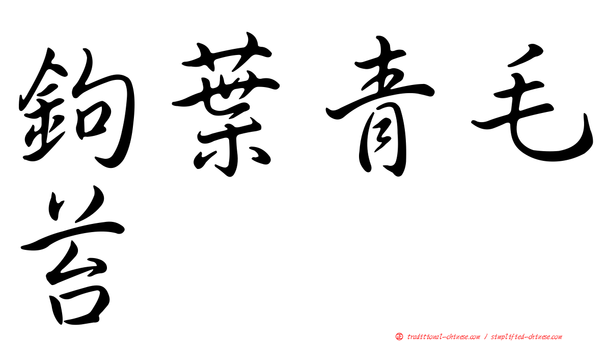 鉤葉青毛苔