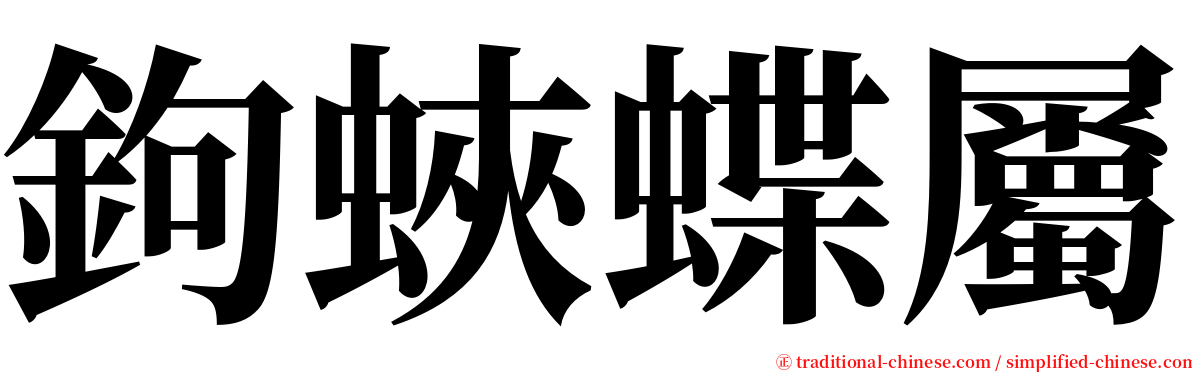 鉤蛺蝶屬 serif font