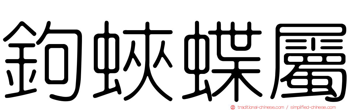 鉤蛺蝶屬