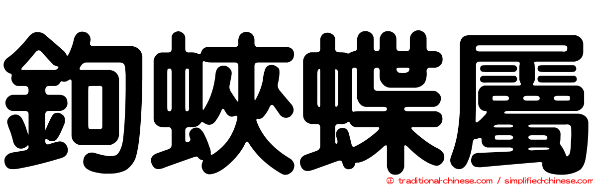 鉤蛺蝶屬