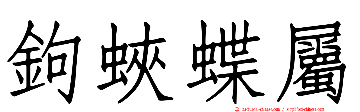 鉤蛺蝶屬
