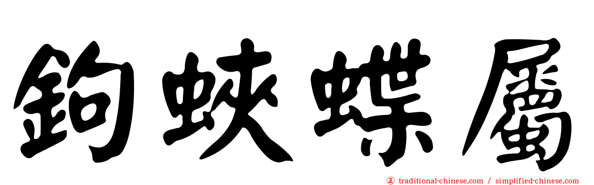 鉤蛺蝶屬