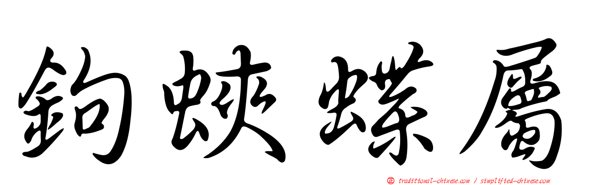 鉤蛺蝶屬