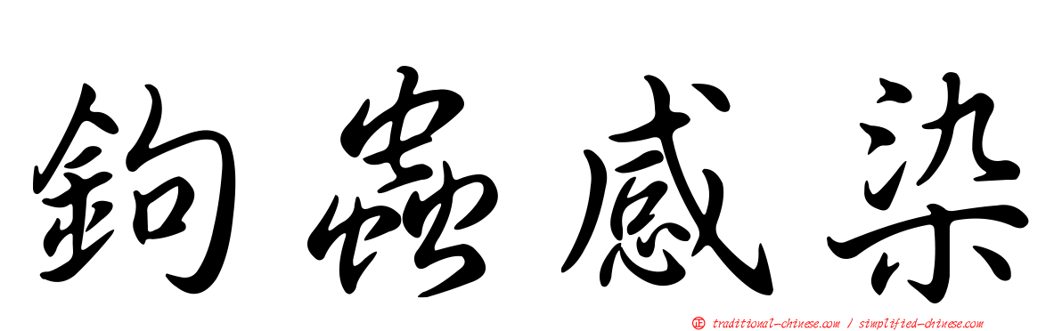 鉤蟲感染
