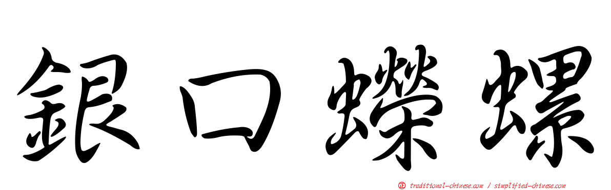 銀口蠑螺