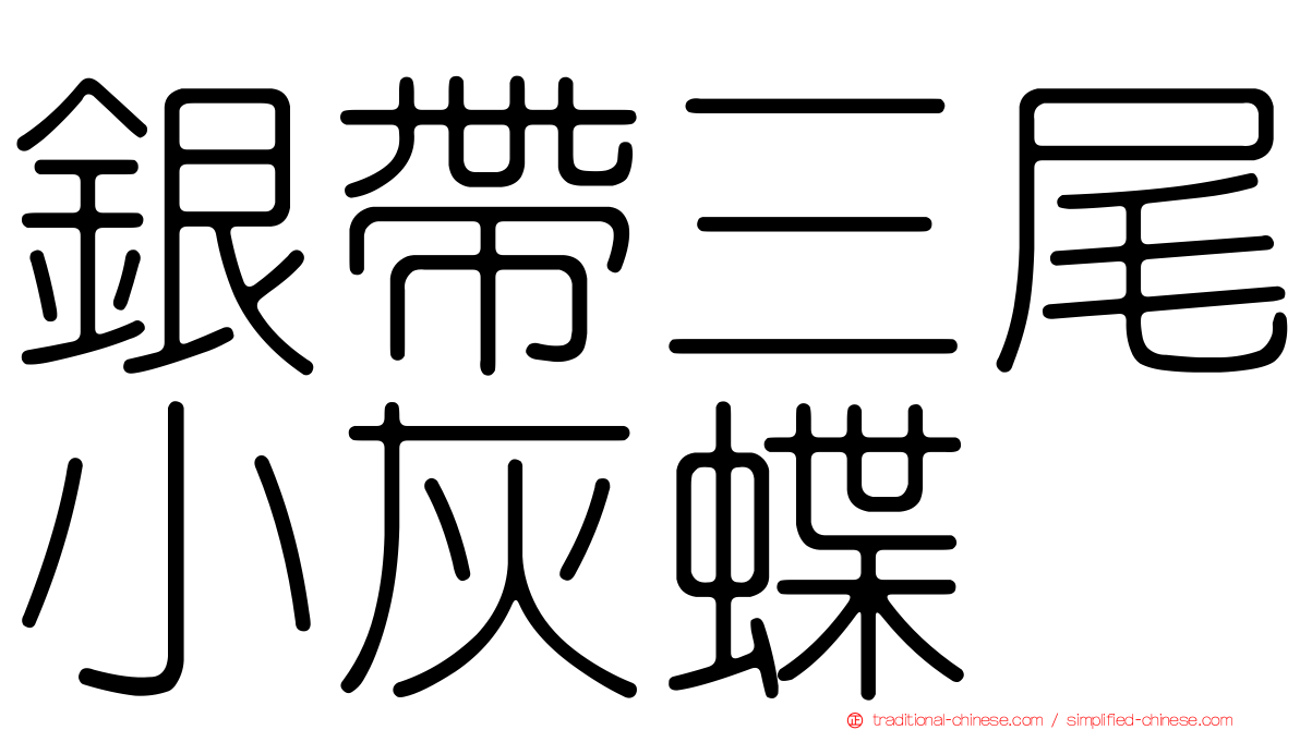 銀帶三尾小灰蝶