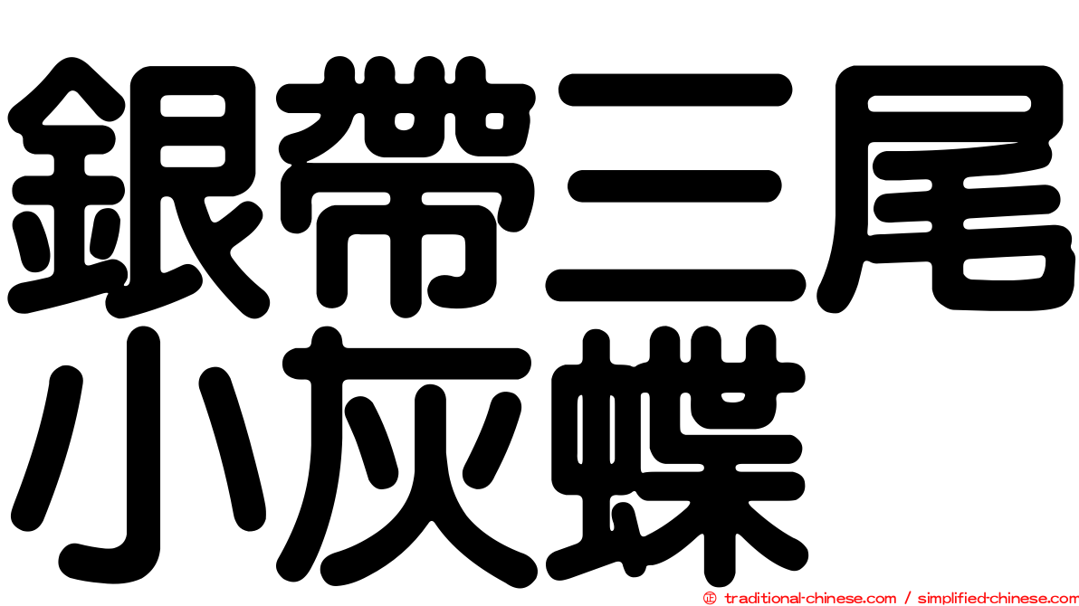 銀帶三尾小灰蝶
