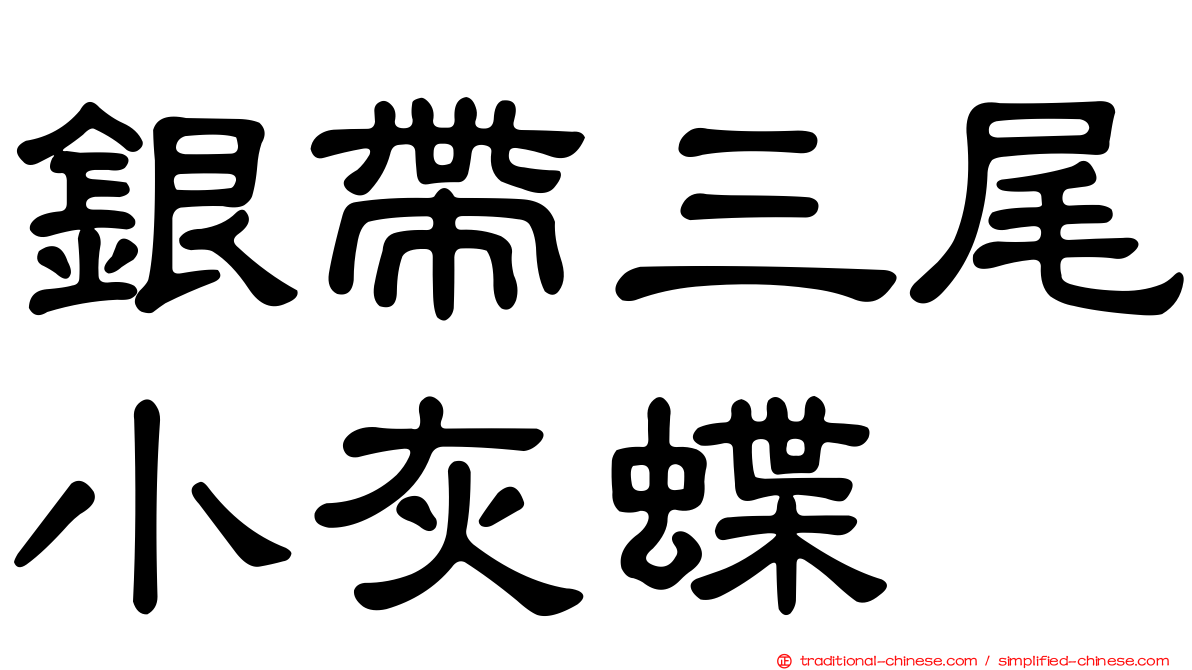 銀帶三尾小灰蝶