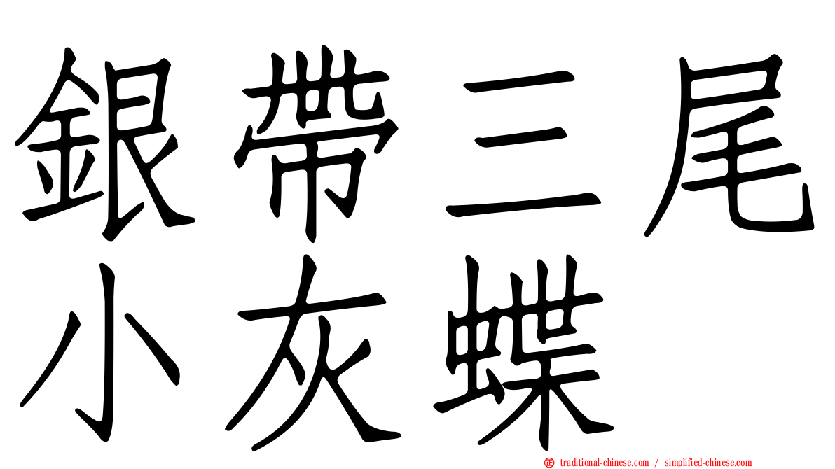 銀帶三尾小灰蝶