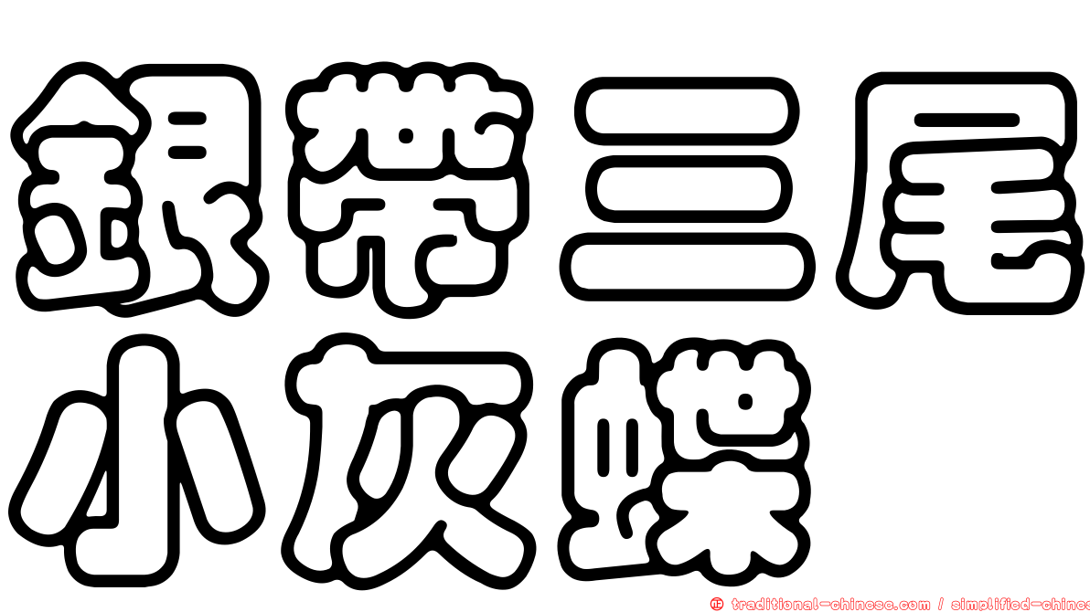 銀帶三尾小灰蝶