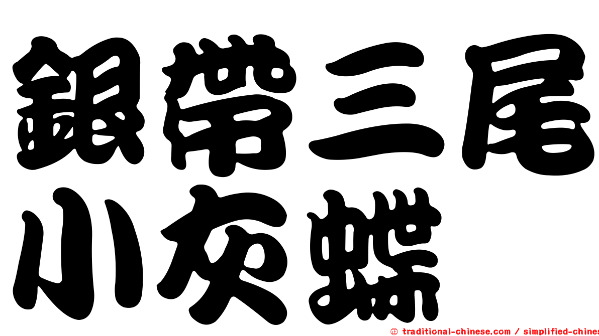 銀帶三尾小灰蝶
