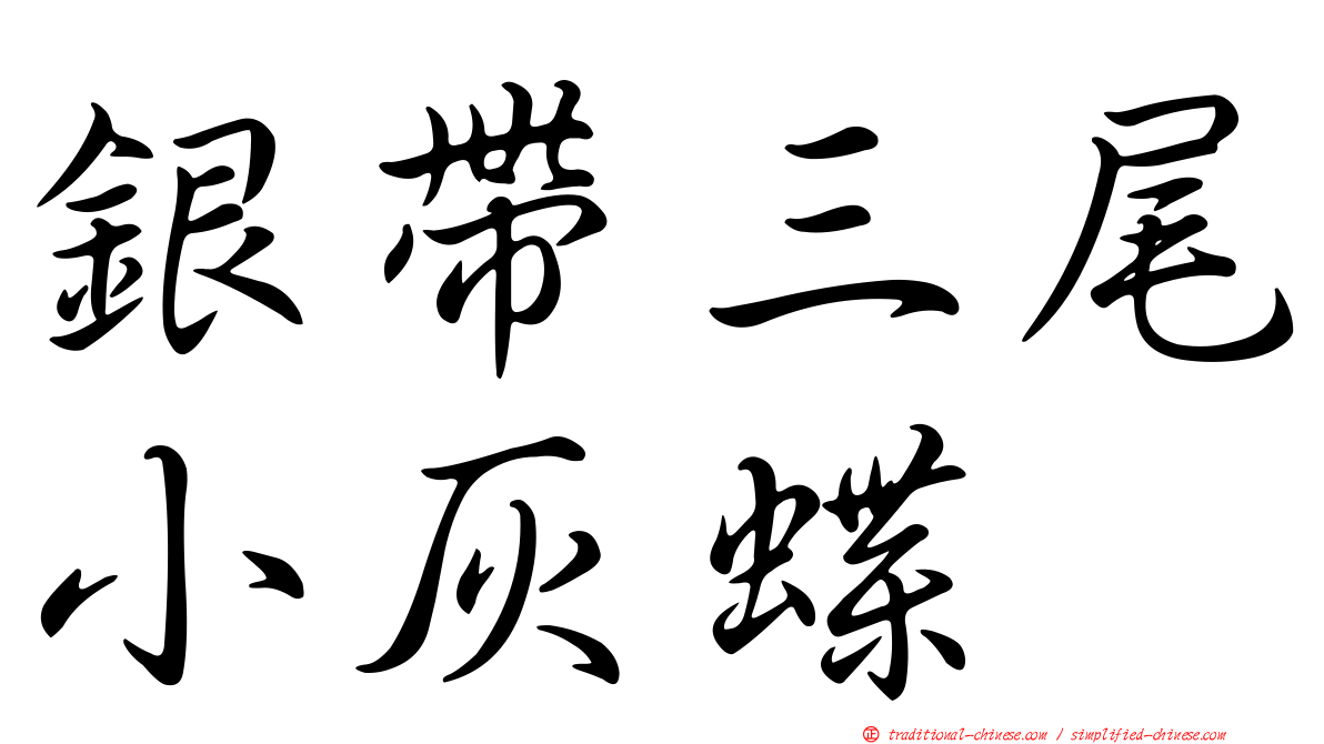銀帶三尾小灰蝶