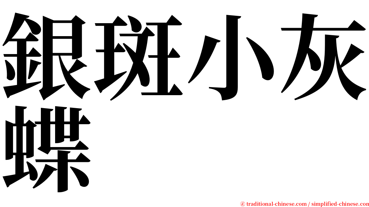 銀斑小灰蝶 serif font