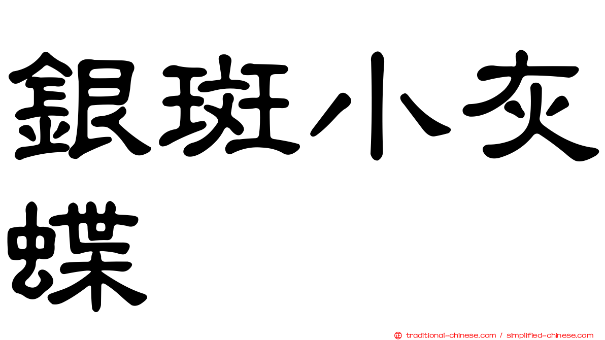 銀斑小灰蝶