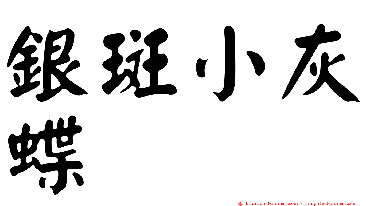 銀斑小灰蝶
