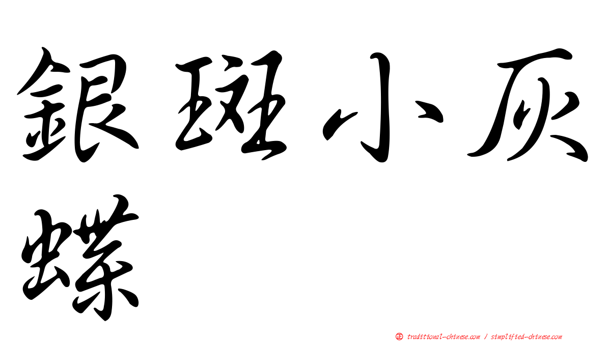 銀斑小灰蝶