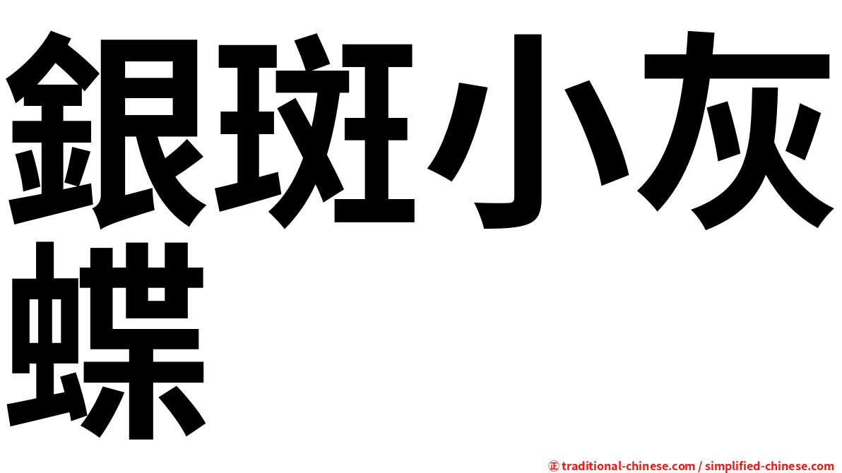 銀斑小灰蝶